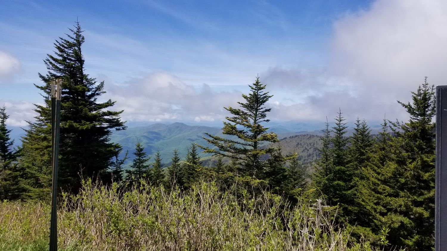 Abrahms Bald Hike 